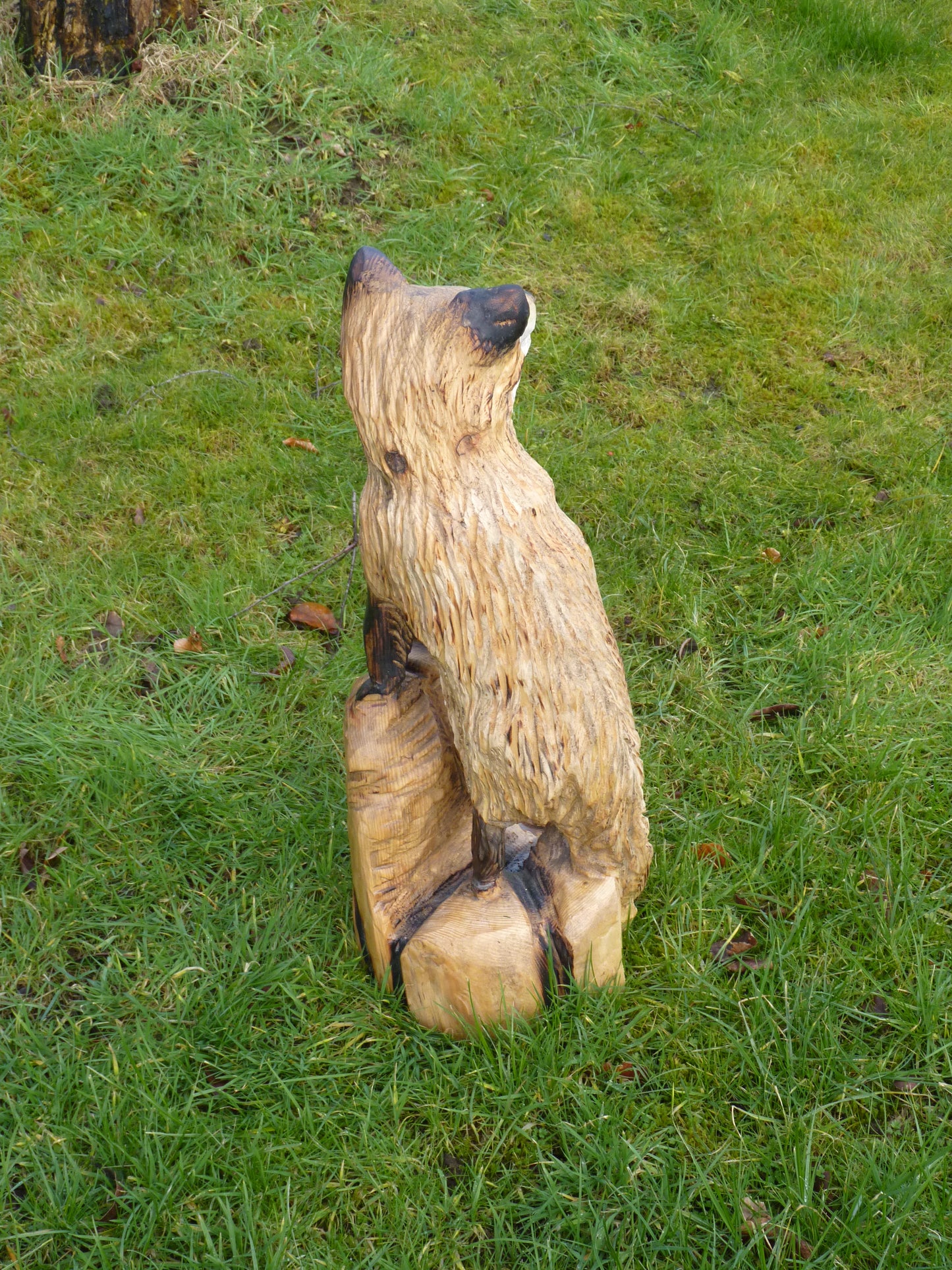 1 Chainsaw carved fox sculpture